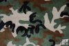 Minky Print Fabric - Camouflage - Green