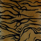 Minky Animal Print Fabric - Tiger Minky Animal Print Fabric - Tiger