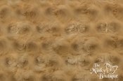 Minky Rose Cuddle Fabric - Camel Minky Rose Cuddle Fabric - Camel