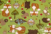 Minky Studio Collection - Forest Tails/Kiwi Minky Studio Collection - Forest Tails/Kiwi