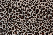 Minky Animal Print Fabric - Cheetah Minky Animal Print Fabric - Cheetah