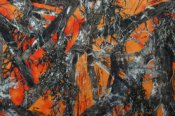 Minky Print Fabric - True Timber-Orange Minky Print Fabric - True Timber-Orange