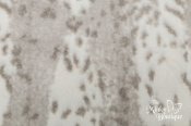 Minky Animal Print Luxe Cuddle Fabric - Siberian Leopard - Silver Minky Animal Print Luxe Cuddle Fabric - Siberian Leopard - Silver