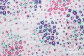 Double Guaze Cotton Embrace - Floral Fields/Fuchsia Double Guaze Cotton Embrace - Floral Fields/Fuchsia
