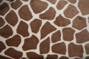 Minky Animal Print Fabric - Giraffe - Butter/Brown Minky Animal Print Fabric - Giraffe - Butter/Brown