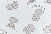 Sweet Melody Minky Cuddle Fabric - Love You/Aruba Sweet Melody Minky Cuddle Fabric - Love You/Aruba