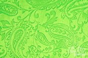 Minky Cuddle Embossed Paisley Fabric - Lime Minky Cuddle Embossed Paisley Fabric - Lime