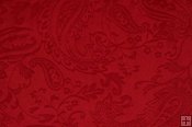 Minky Embossed Paisley Fabric