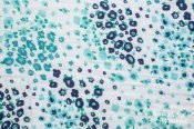 Double Guaze Cotton Embrace - Floral Fields/Teal Double Guaze Cotton Embrace - Floral Fields/Teal