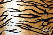 Minky Tiger Print Fabric - 20 x 60 Cut Minky Tiger Print Fabric - 20 x 60 Cut