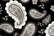 Minky Paisley Print Fabric - Pretty Paisley - Black/Snow Minky Paisley Print Fabric - Pretty Paisley - Black/Snow